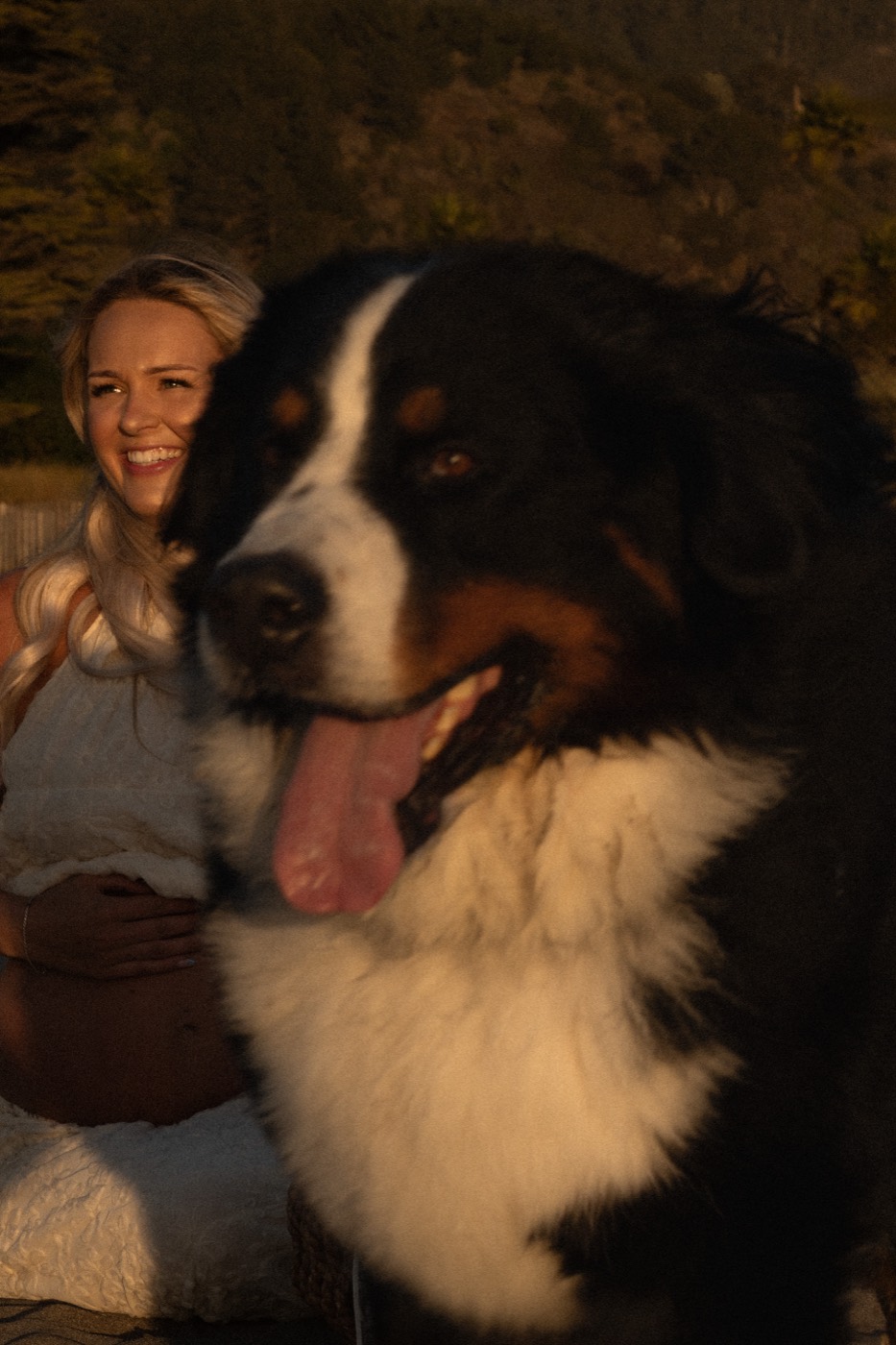 Beach, with the dog — motherhood